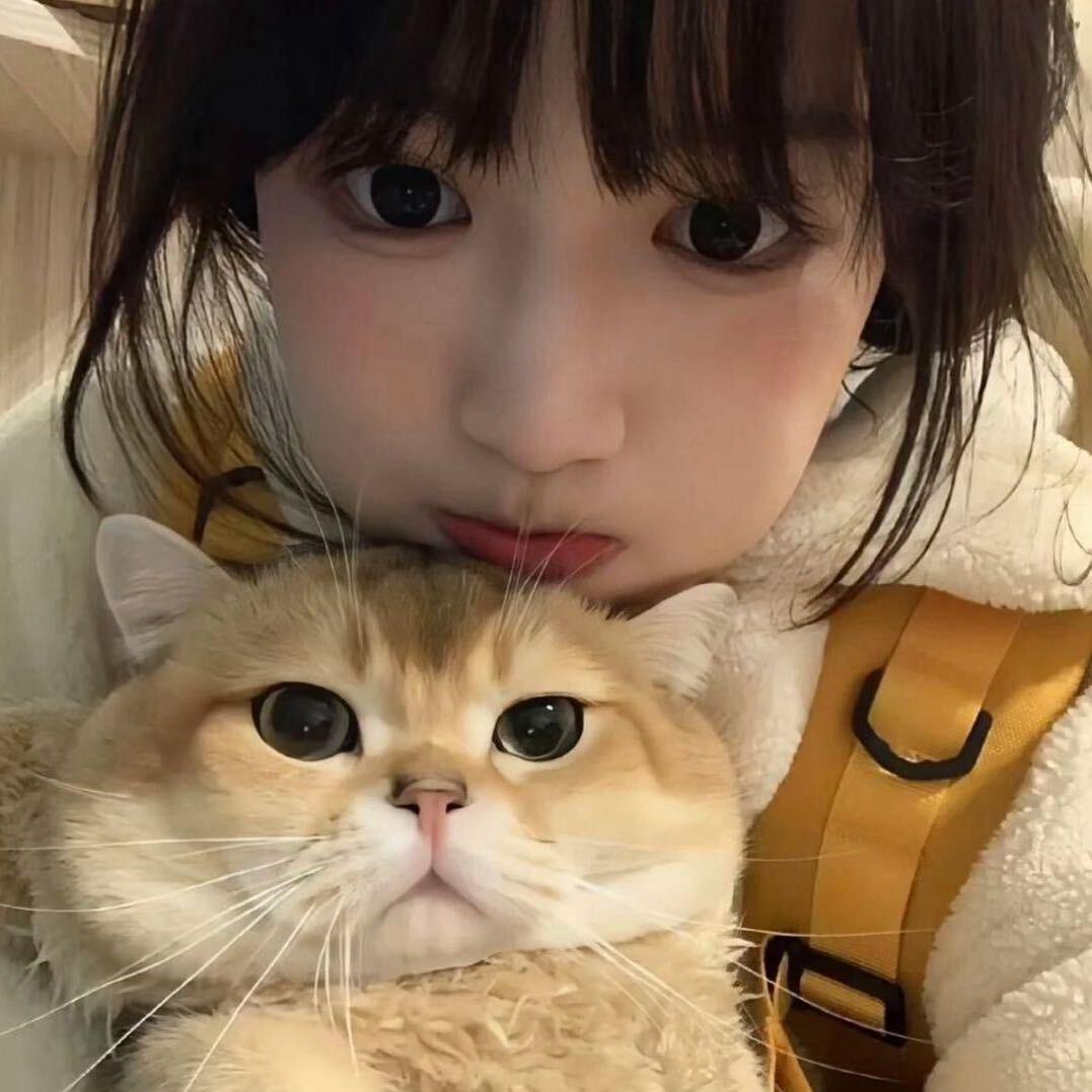 龙井不是茶