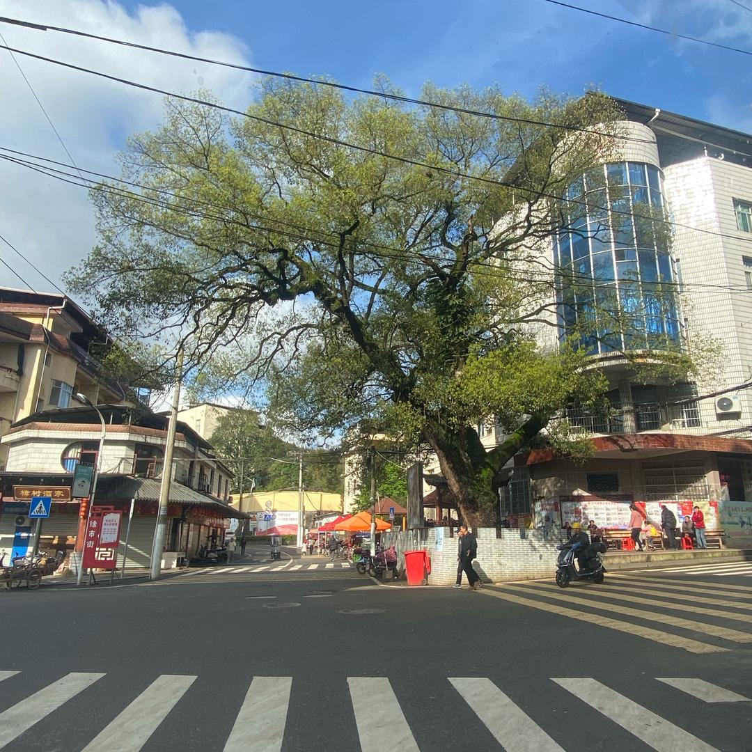 欧阳修（蜈蚣）