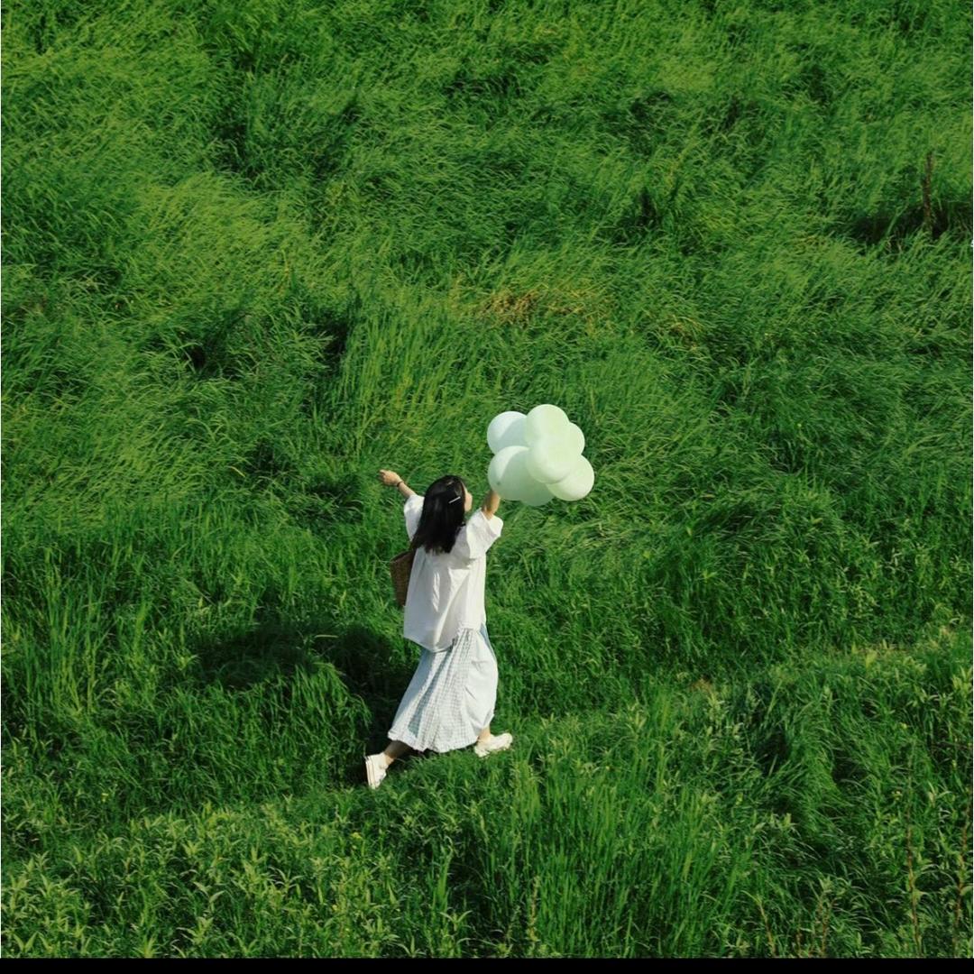 秦小小