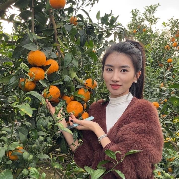 武鸣沃柑甜甜