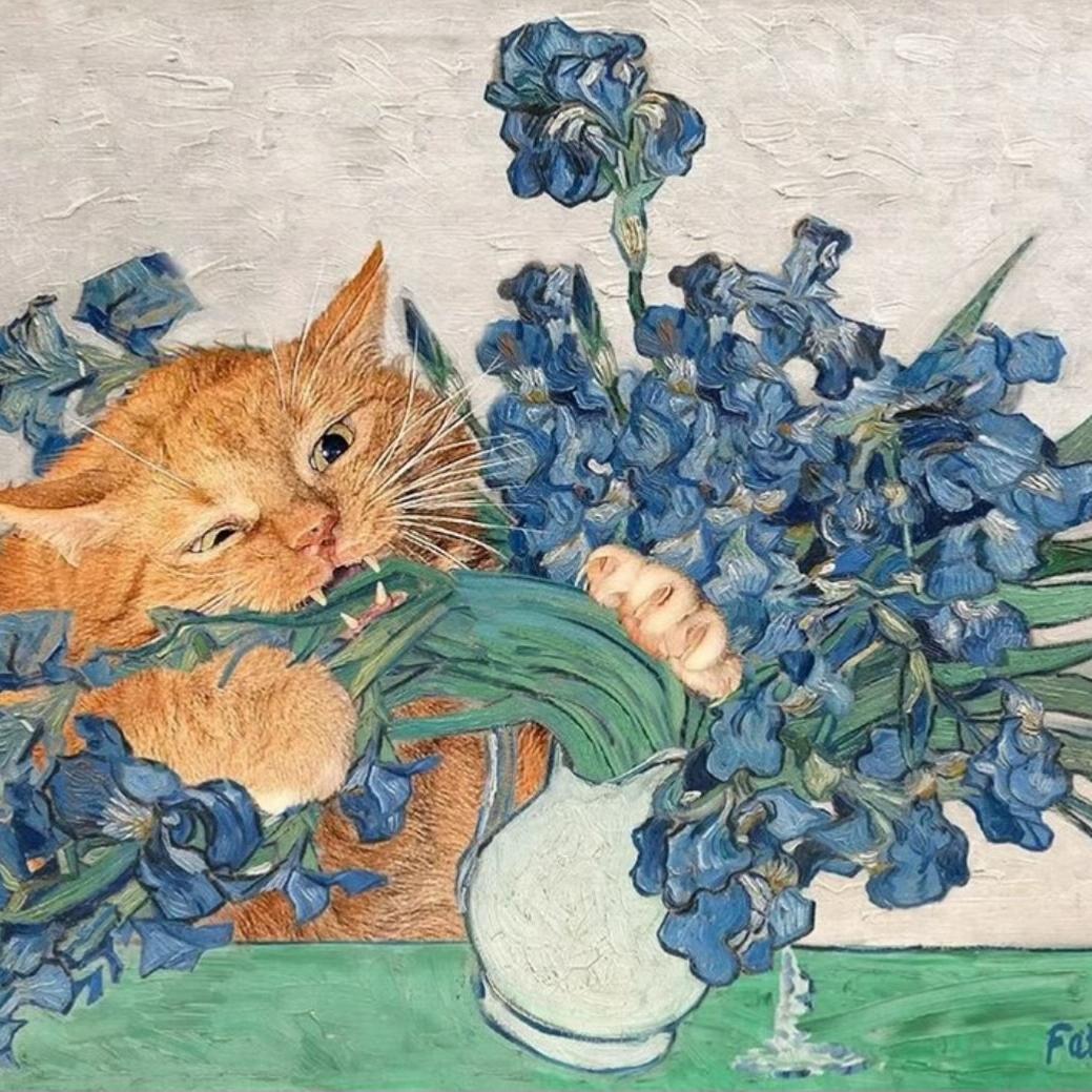 上海一索美学成长中心