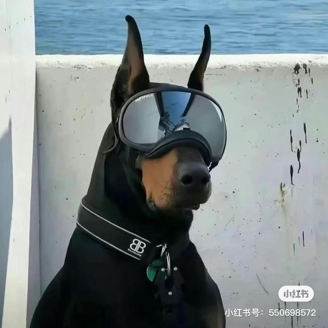 安好y