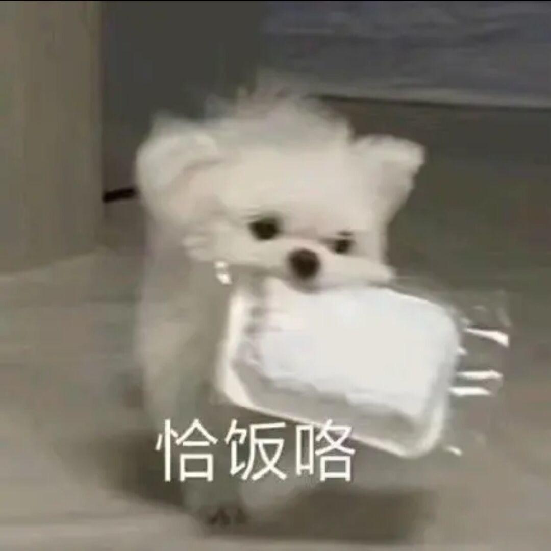 蛙皮骨