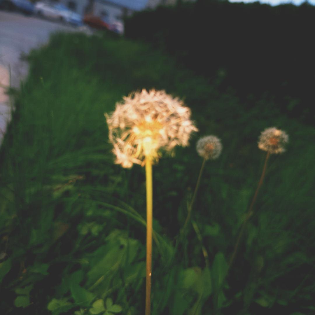 0011