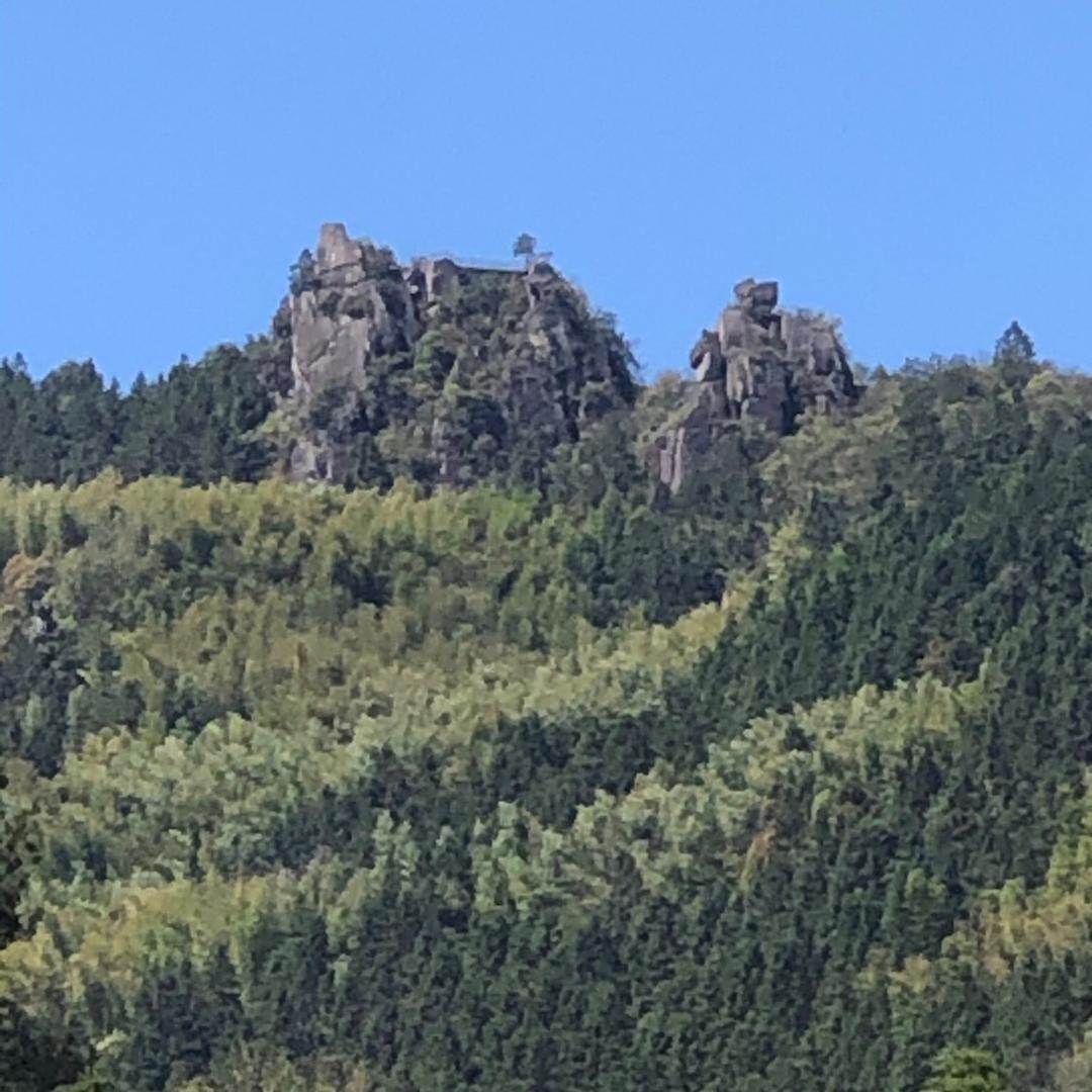 精彩的世界与我共享