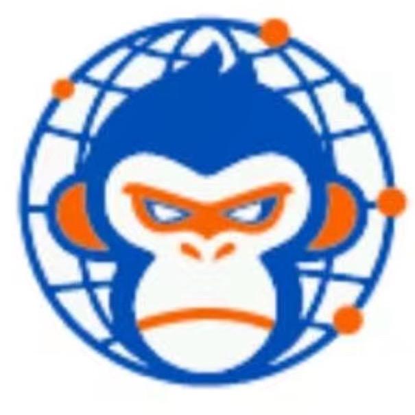 猴哥跨境 | TK全球嘿5️⃣类研究员