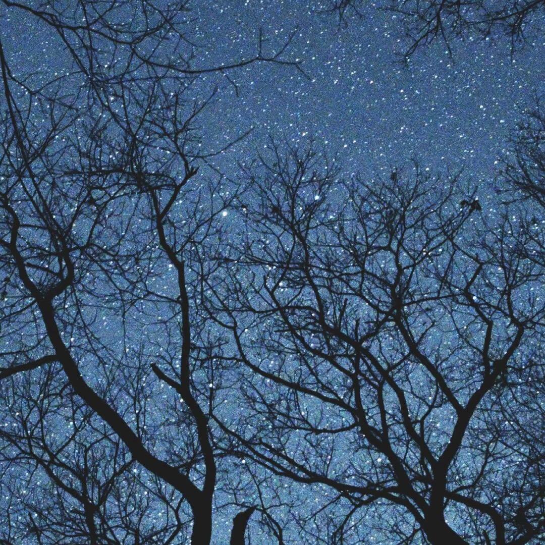 凝霜漫天雪倾城