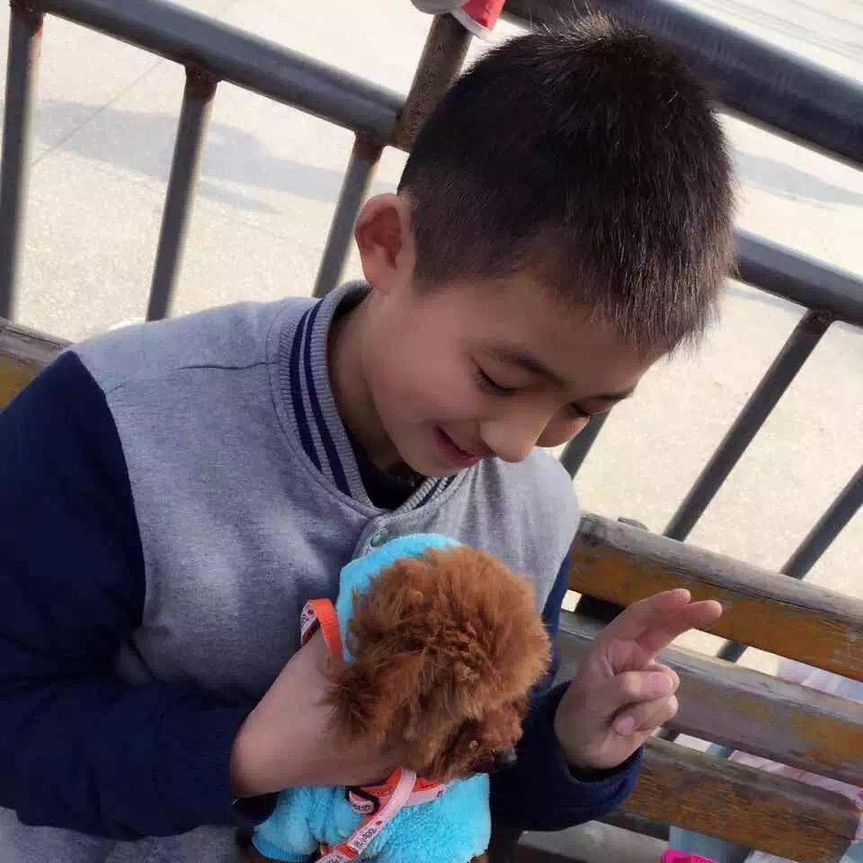 葱仔