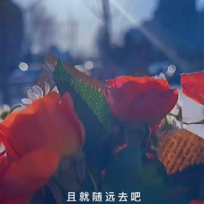 归类