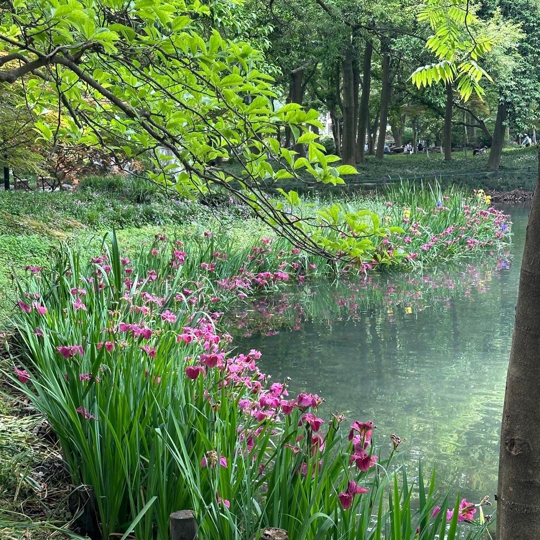 00后女司机勇闯网约车