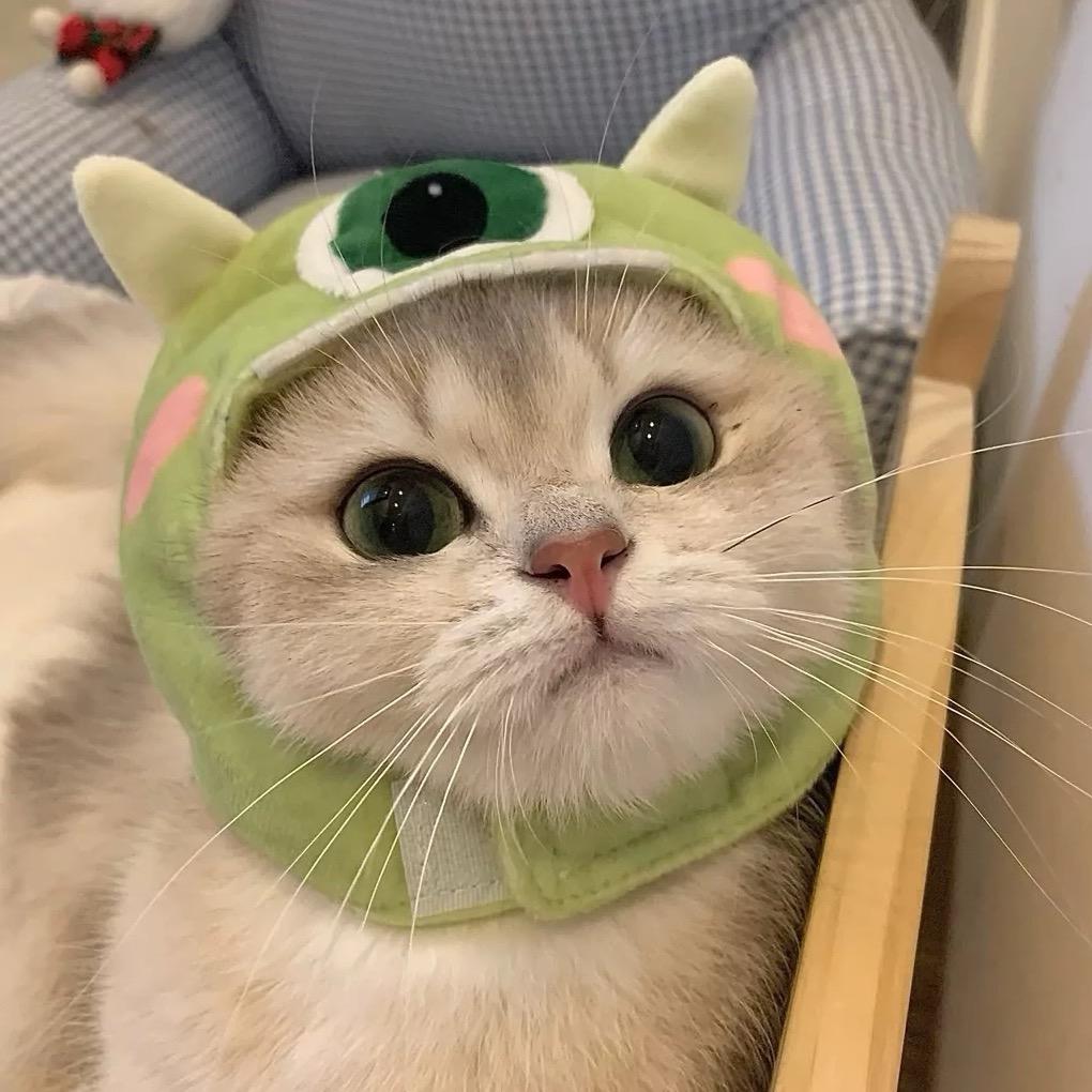 茶靡荼靡