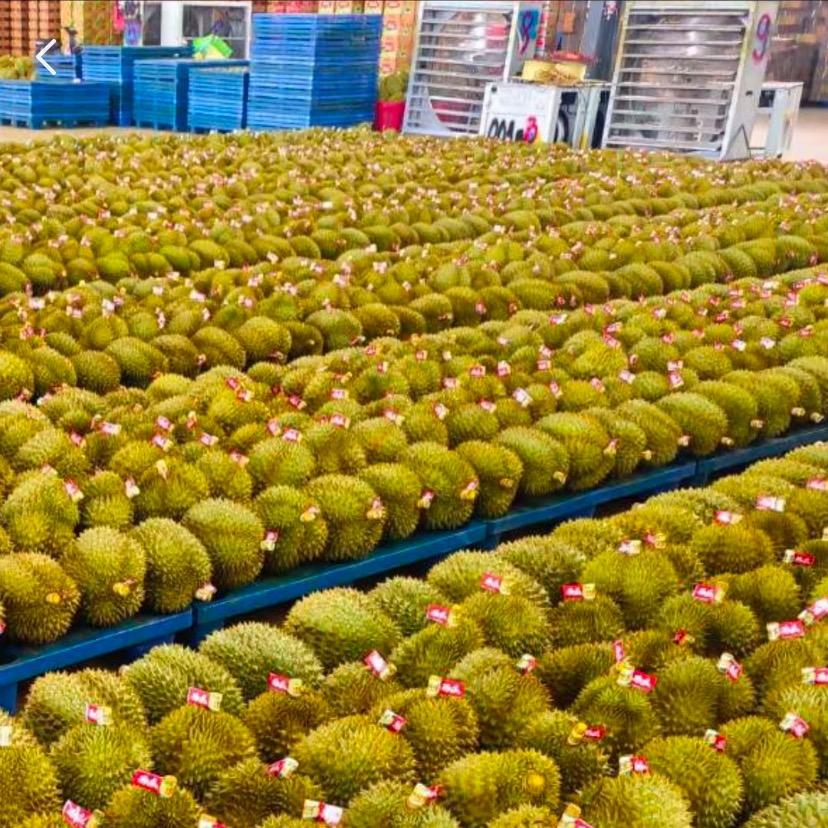 万邦森友榴莲批发