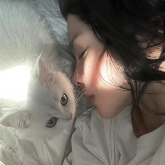 小晕饼