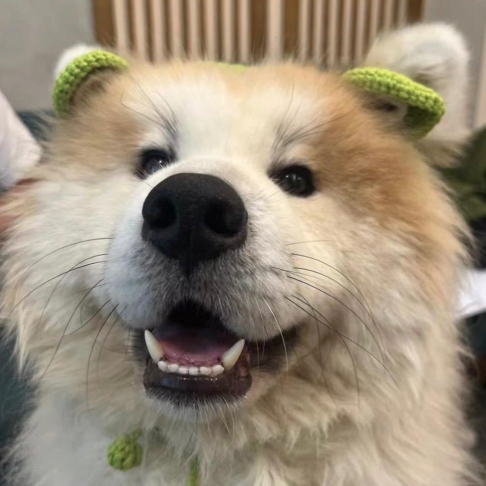胖虎吃了么🐯