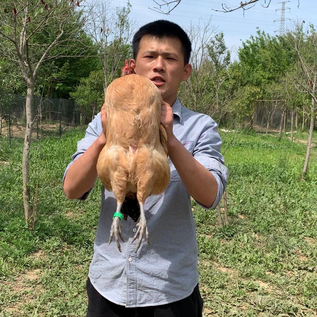 朱大吉（爱农助农）