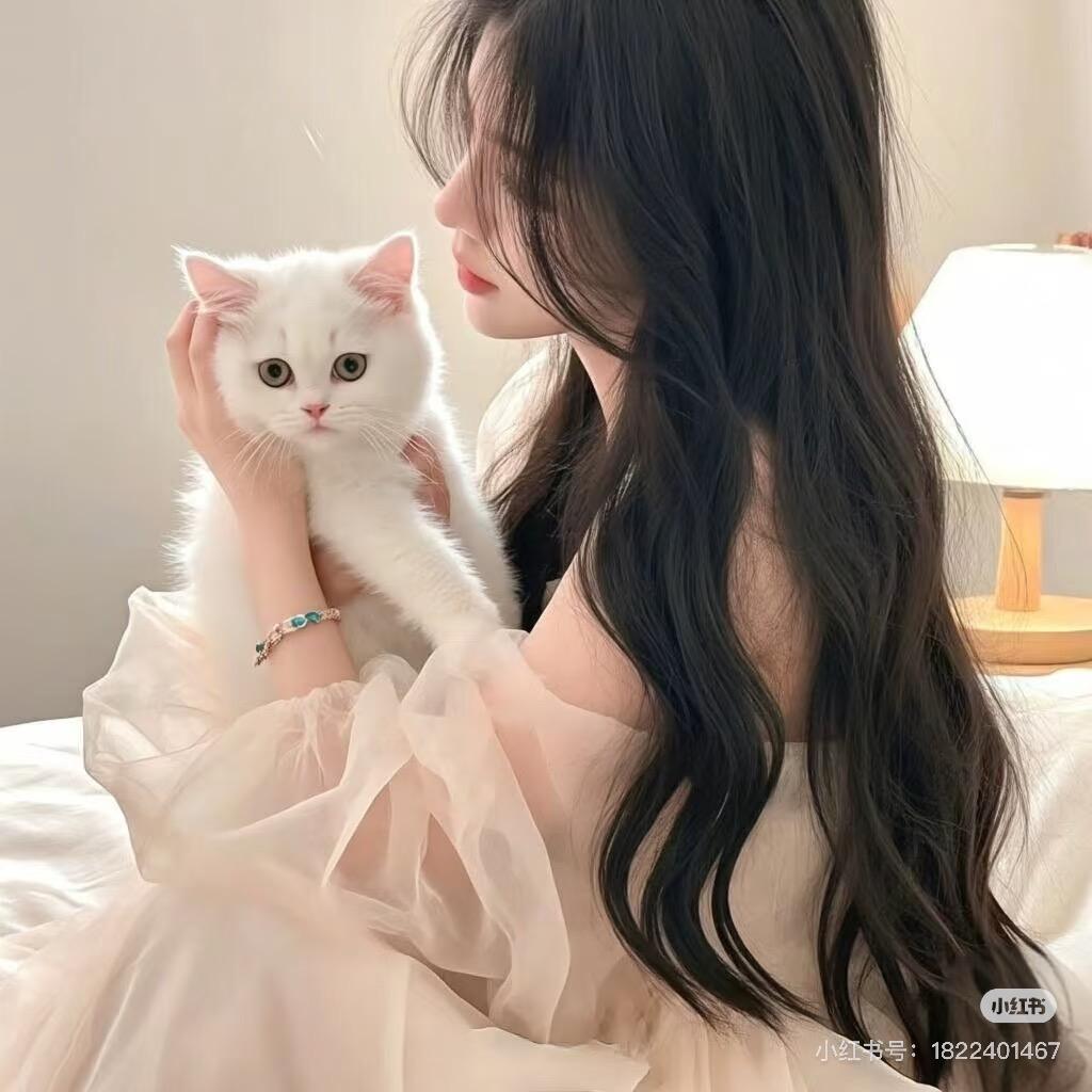 青青子🌹