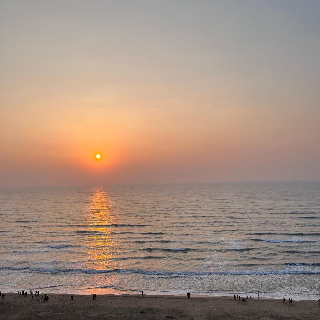 🇨🇳家有旺财