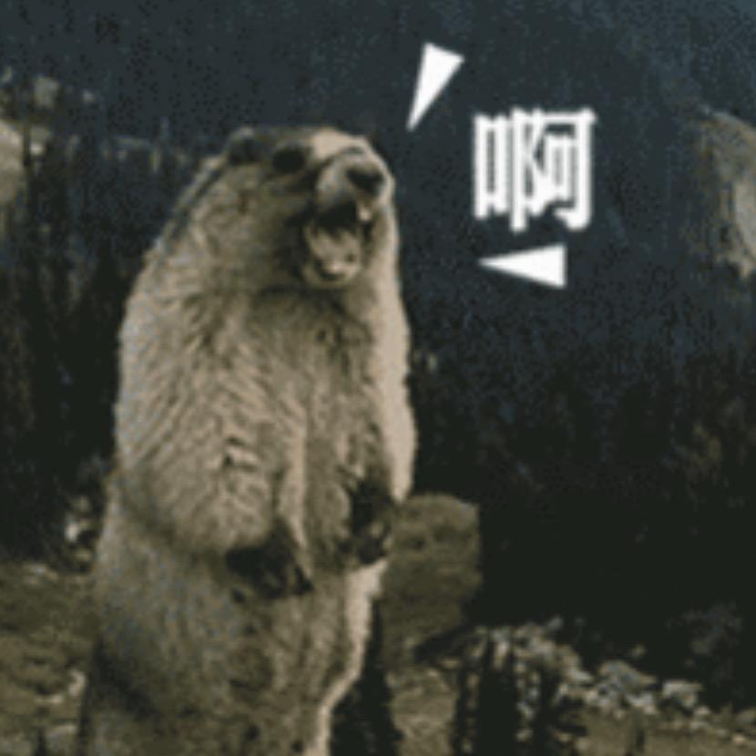白马体彩