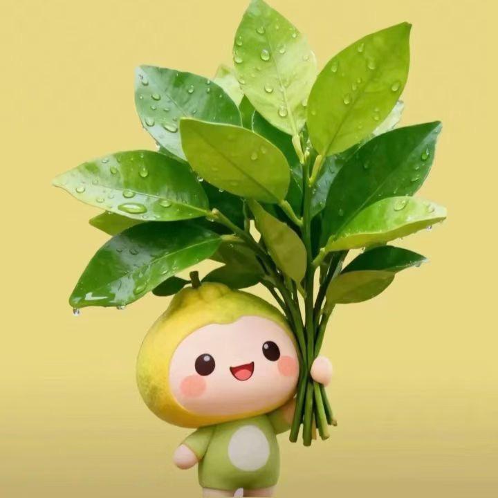 是小胡耶☾