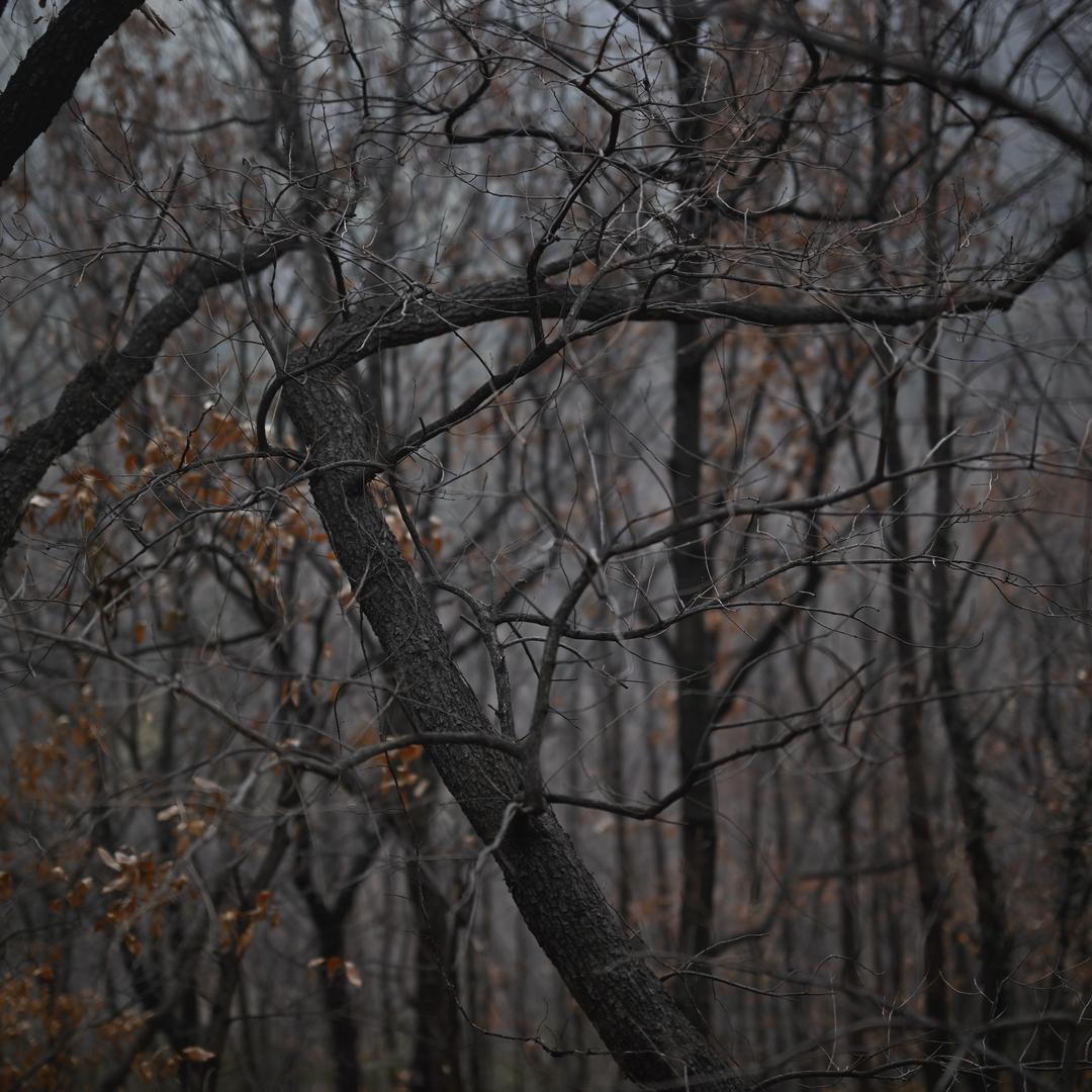 Link 　　　　　　༽