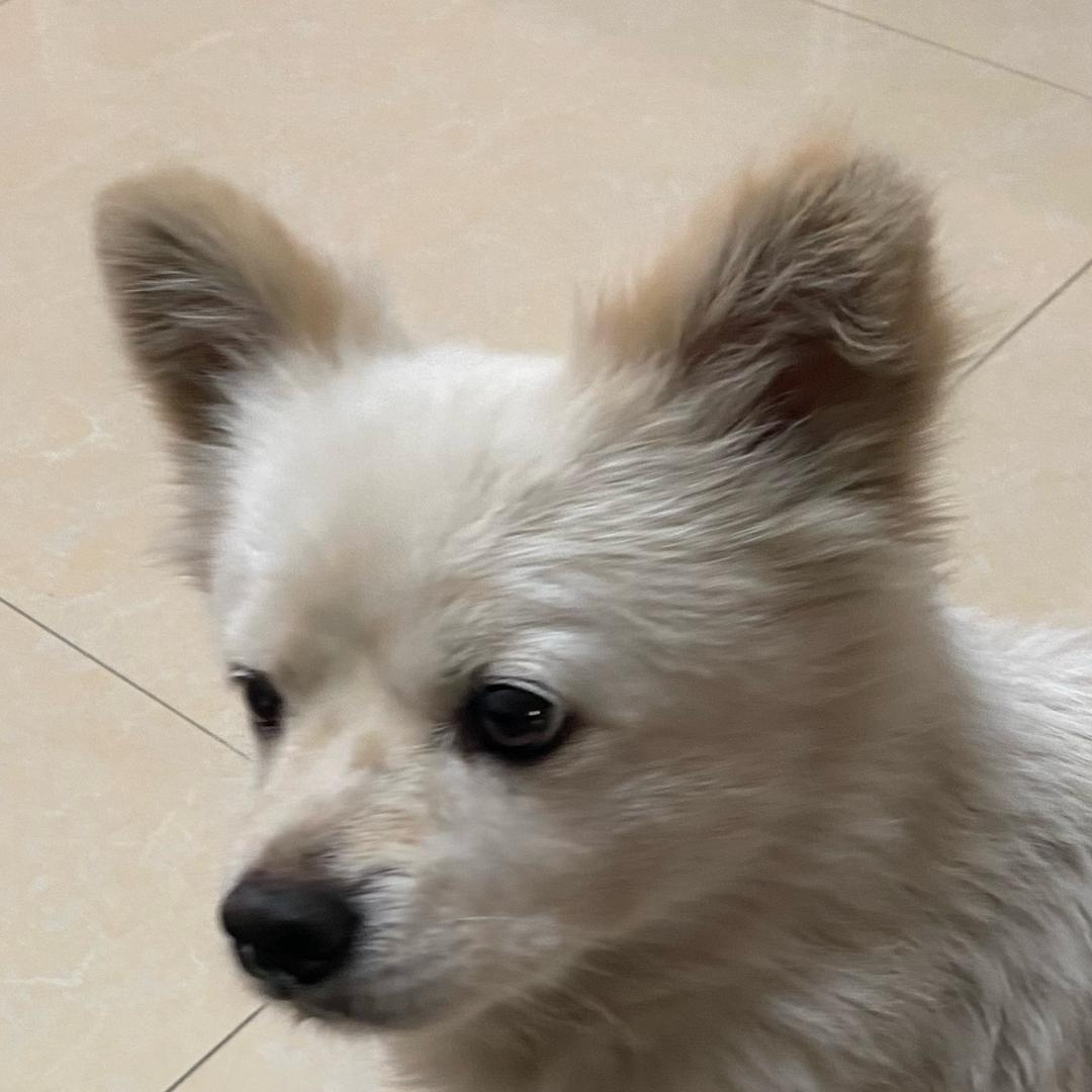 开心小九九