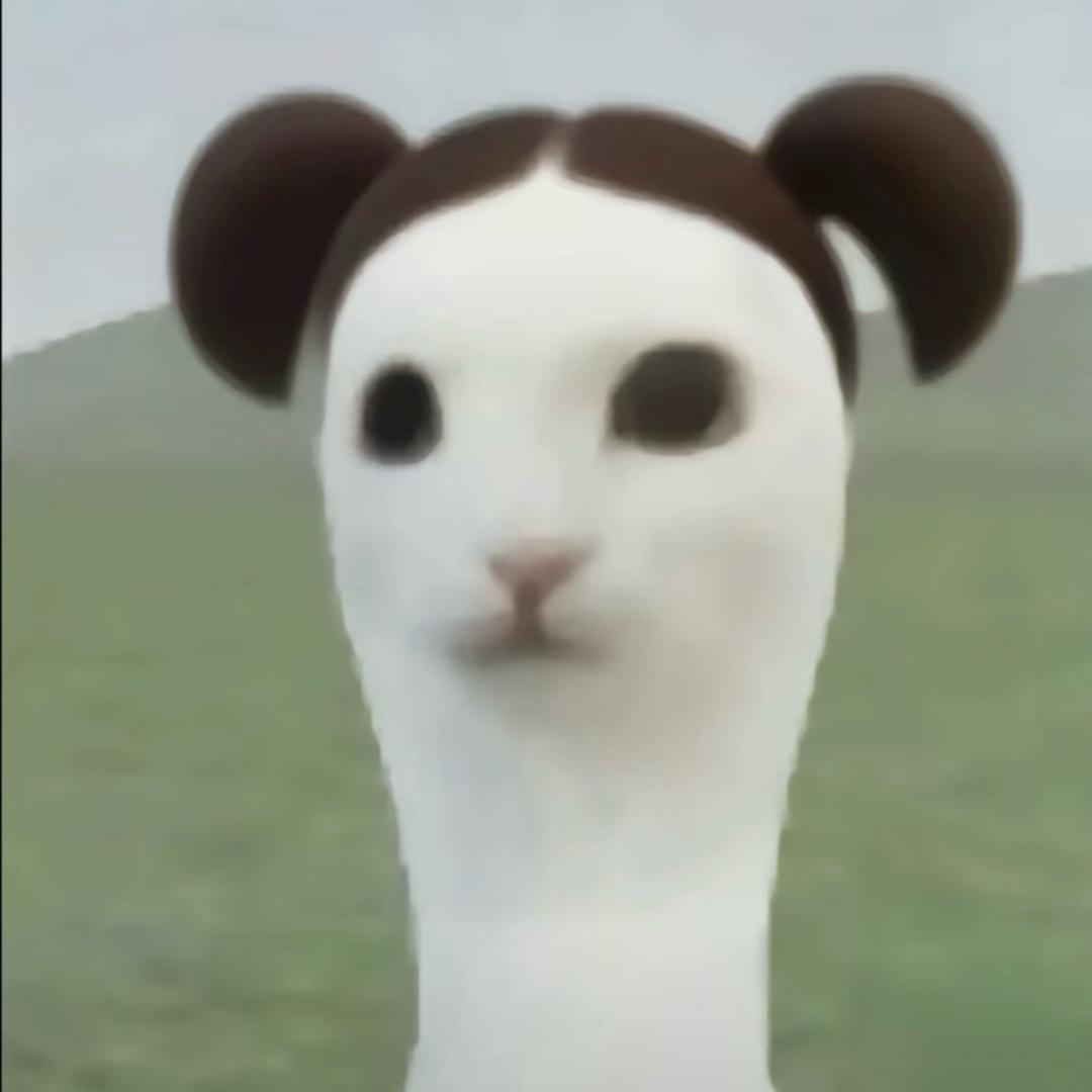 金 子