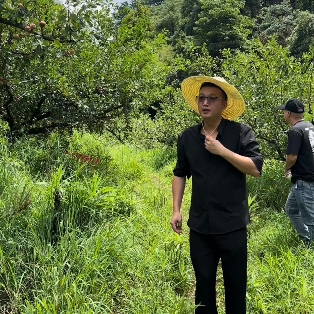 李识珍