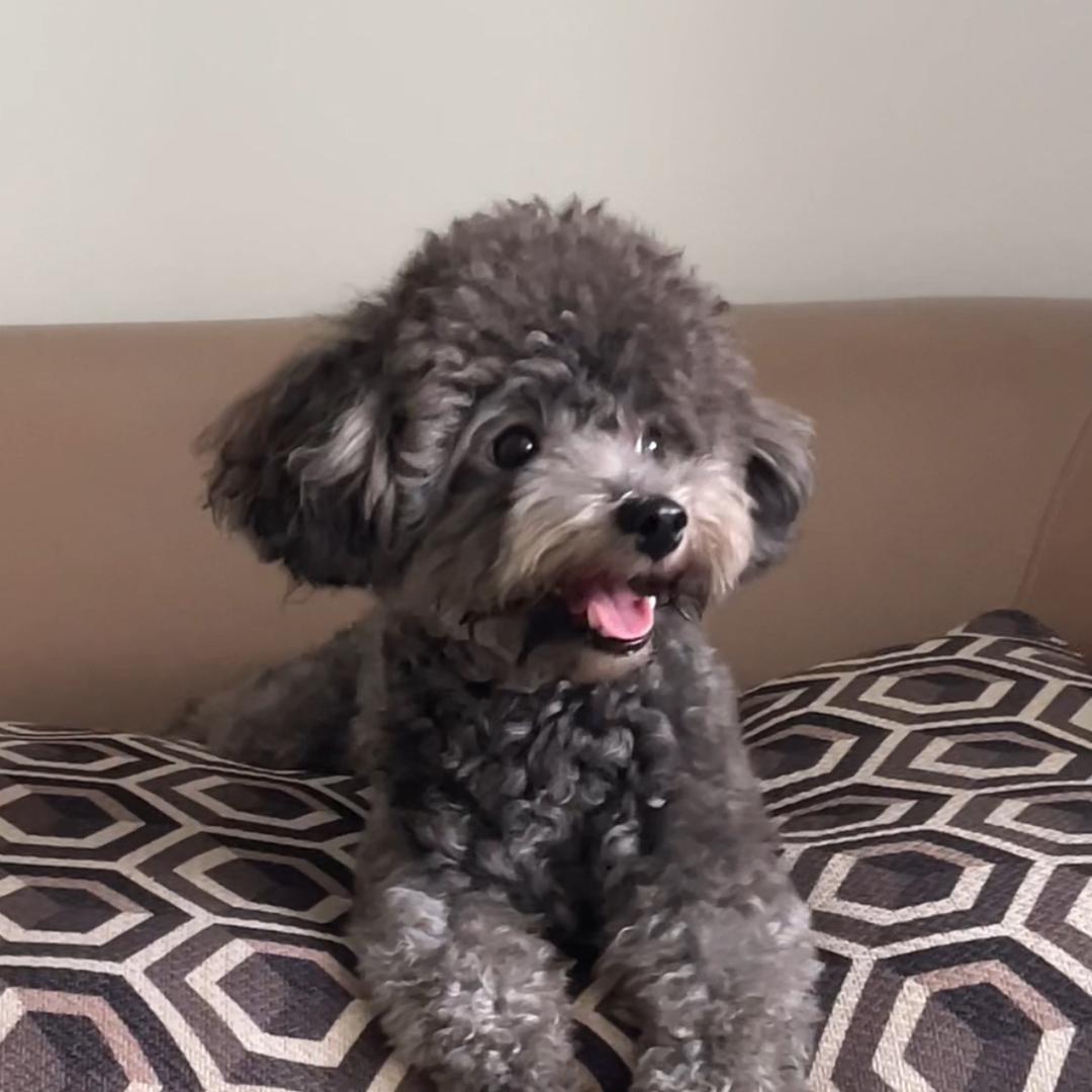 泰迪知识小课堂