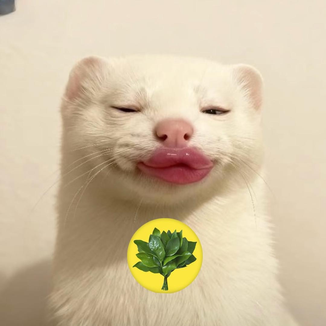 哈哈～我扔一坨屎给你