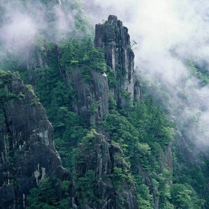 山居隐士