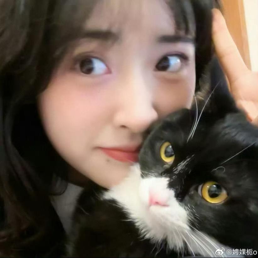 阿zZ