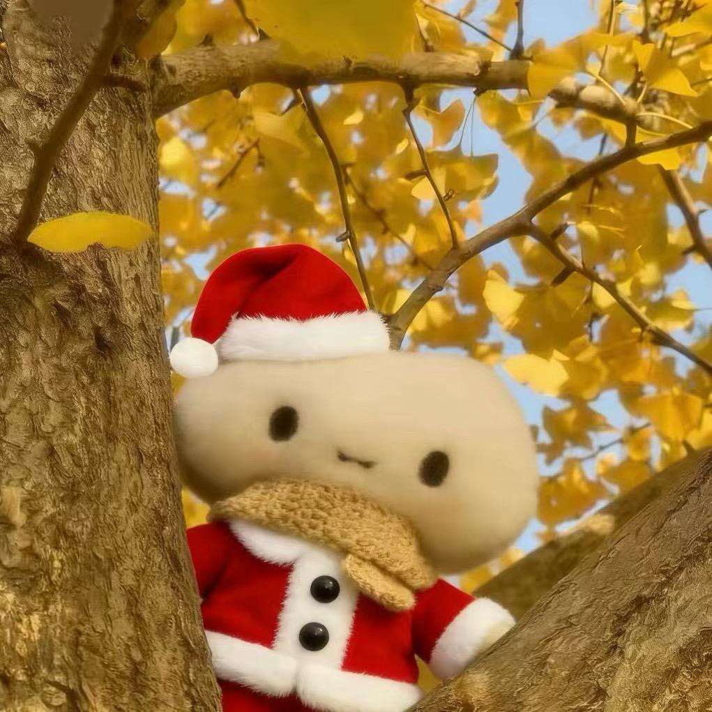 不爱睡觉的笨蛋