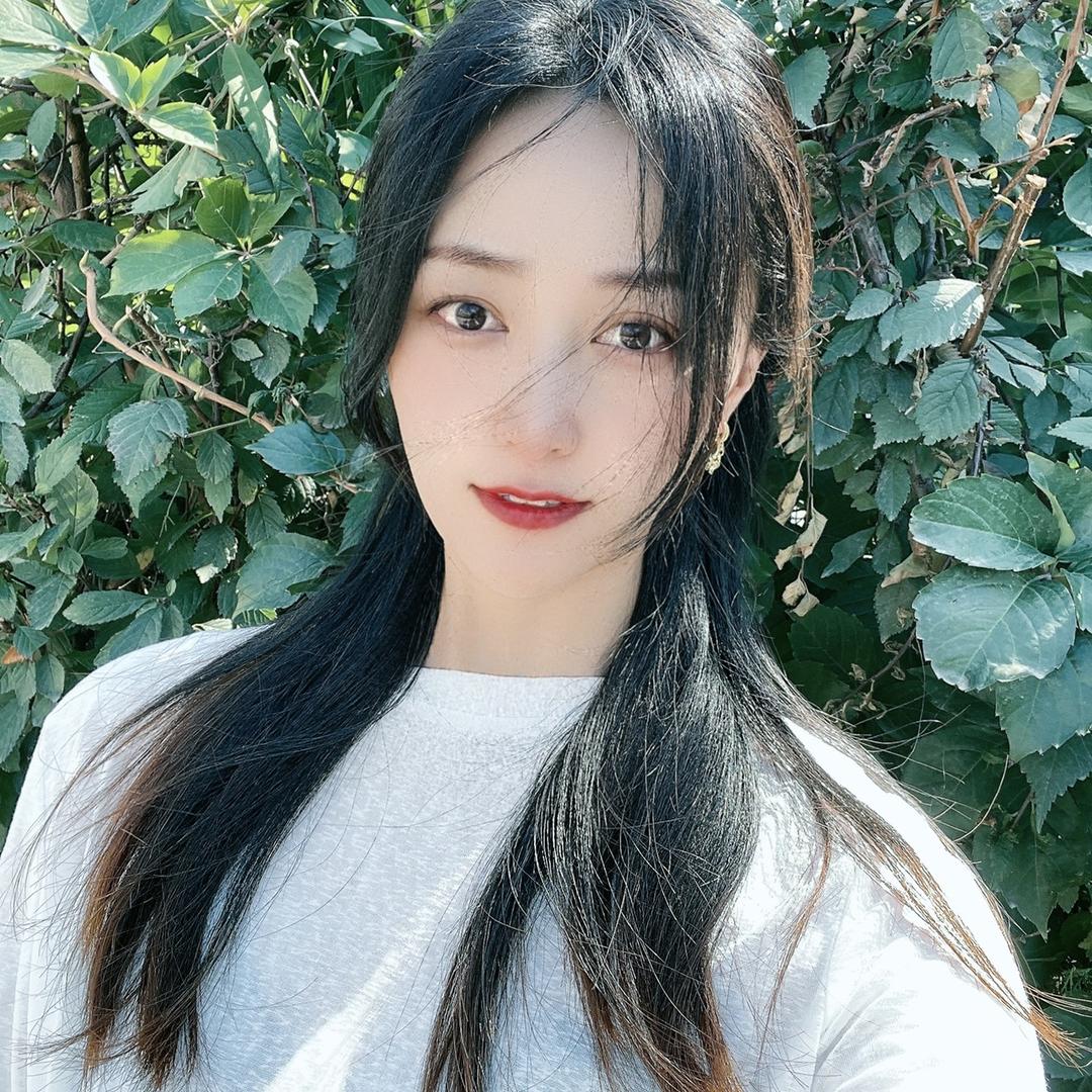 ✨ 静等风来 🍃