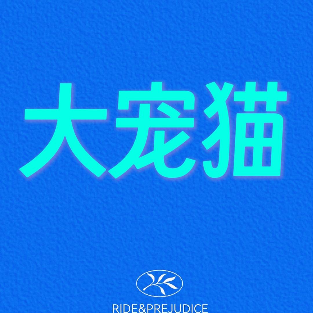 大宠猫纸巾工厂