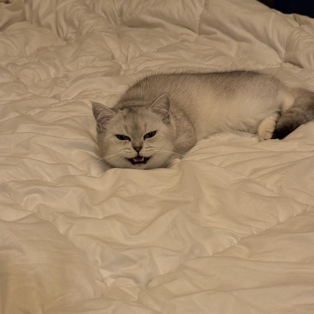 熙熙
