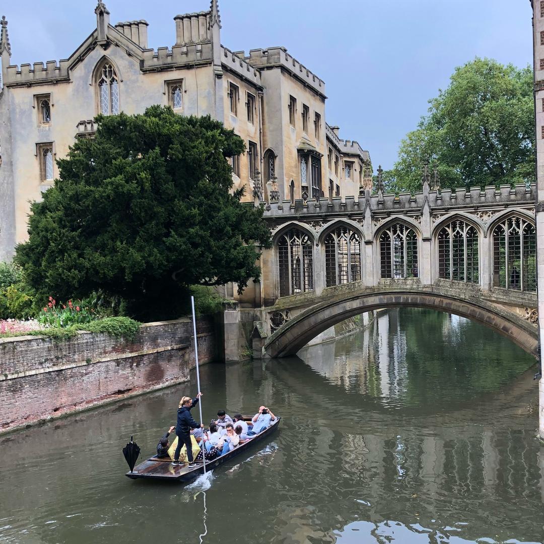 英语杨老师Victoria