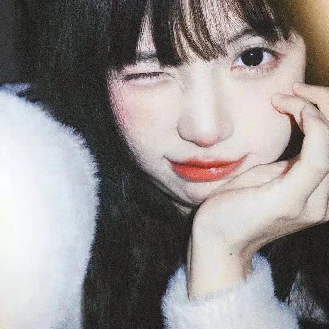 我是小鸽(被清粉版