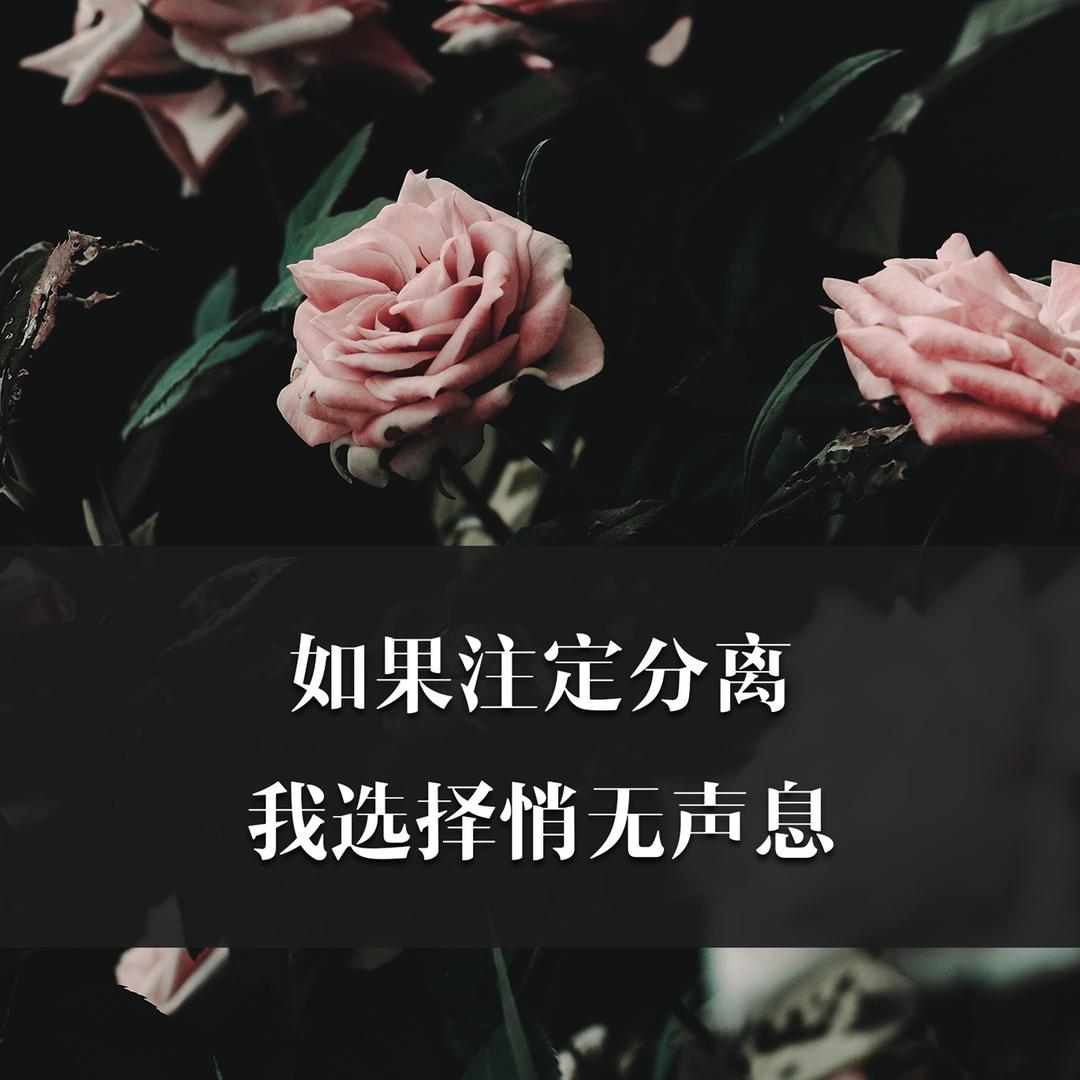 厦门卜欠支予科技有限公司