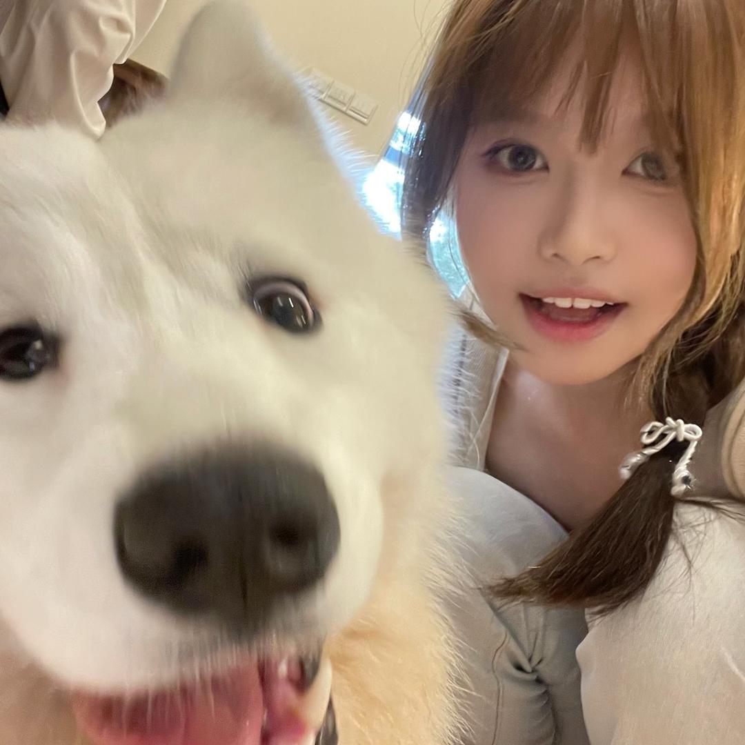 小狗大王૮・ᴥ・ა