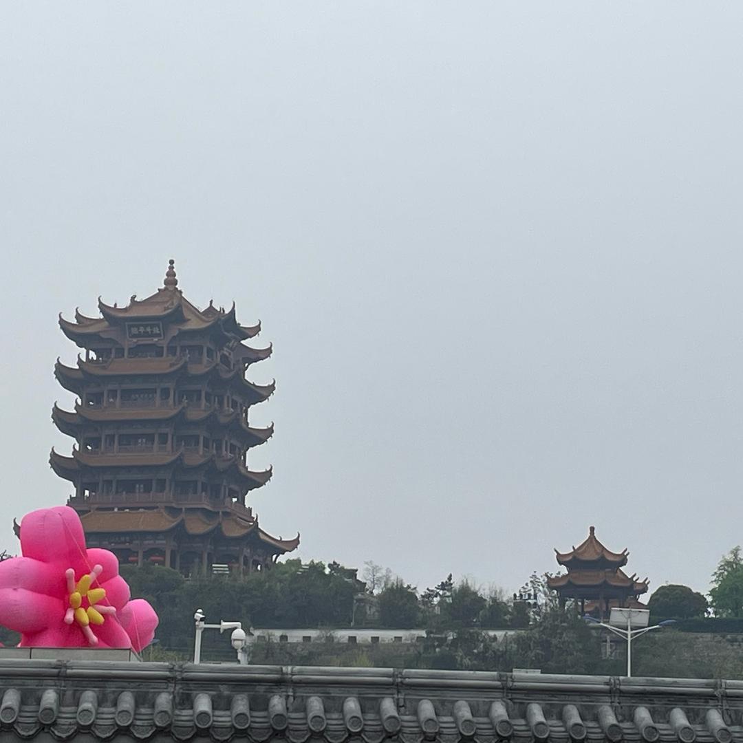 瑾