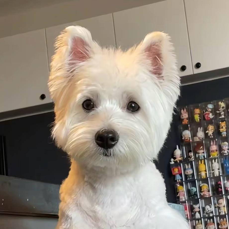 星巴克日记-（带娃篇）