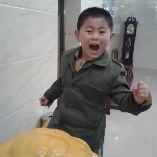 会飞的牛
