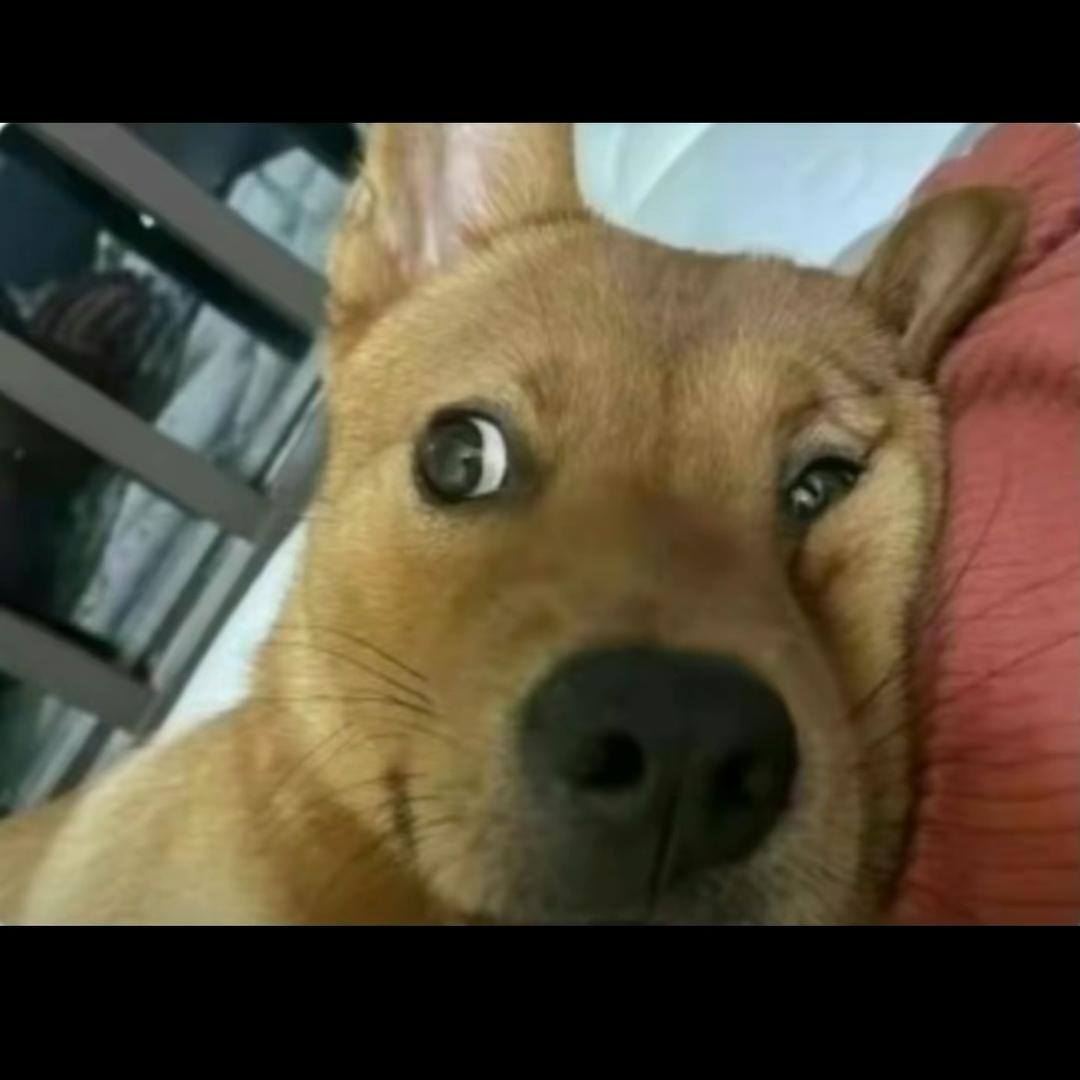 不（_ _）不改名