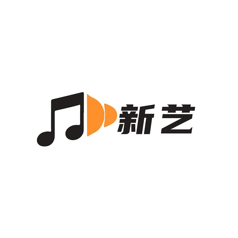 新艺乐器电葫芦丝