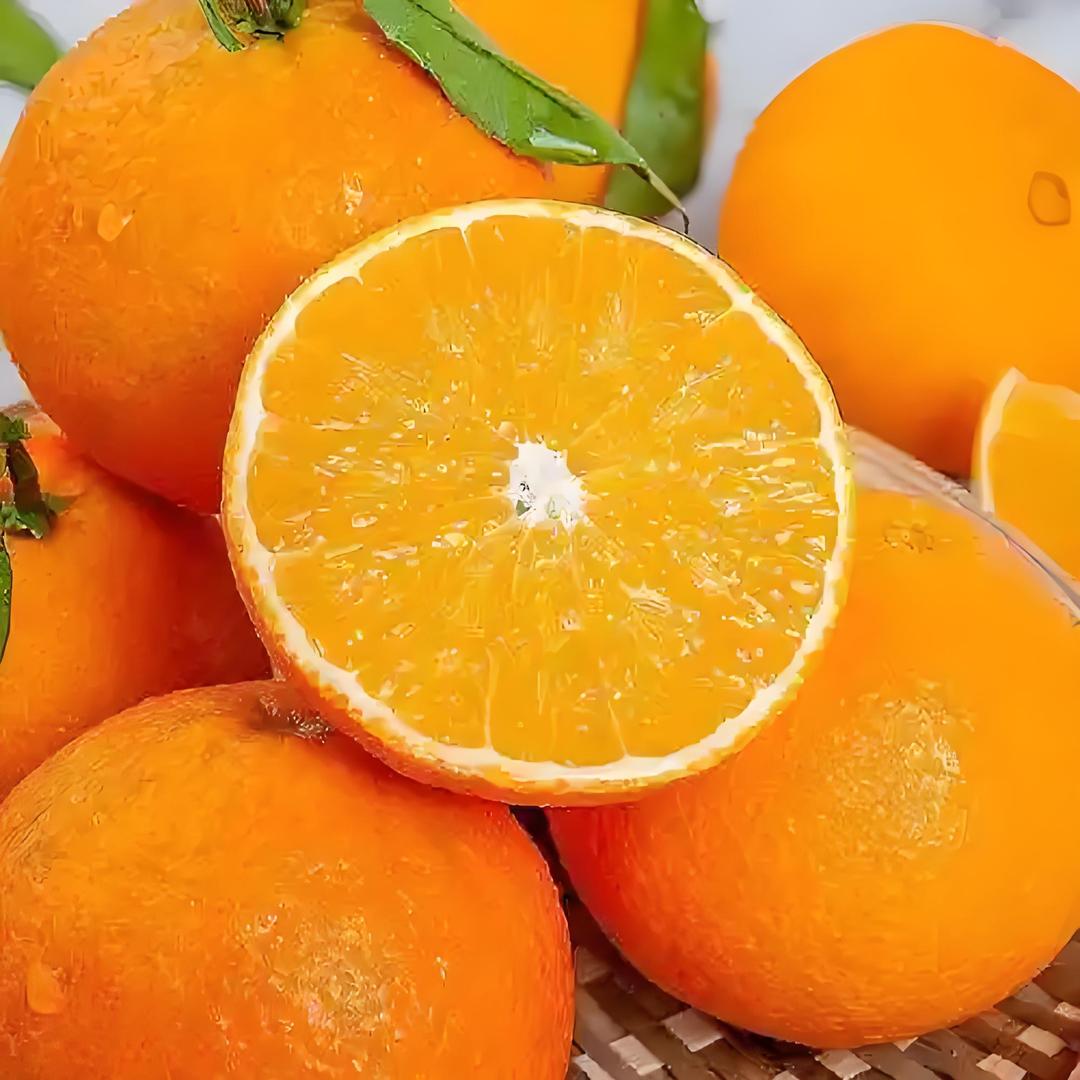 阿月家的爱媛果冻橙