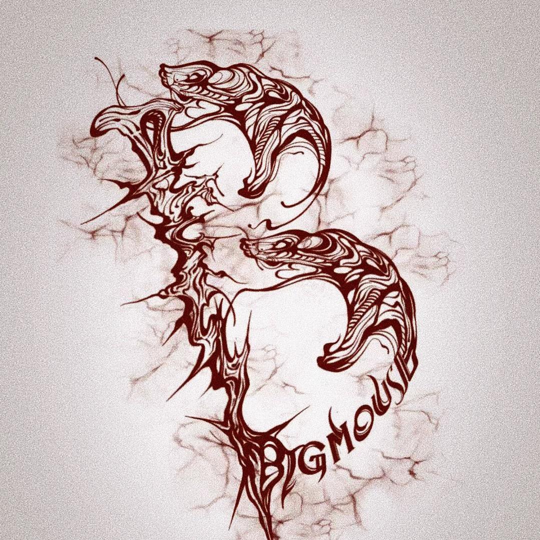BIGMOUSE就是个玩皮的
