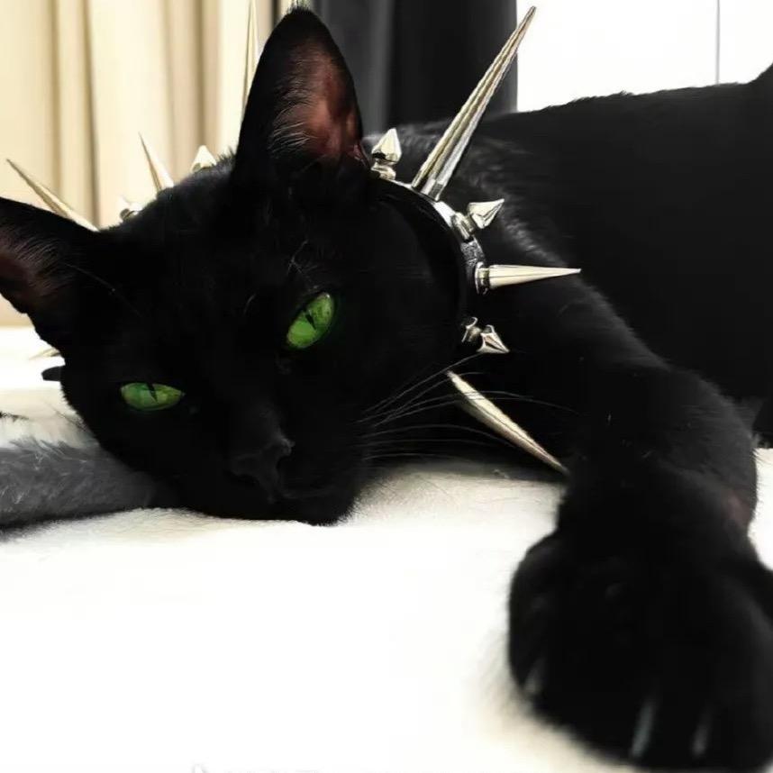 零首付买杯柠檬水