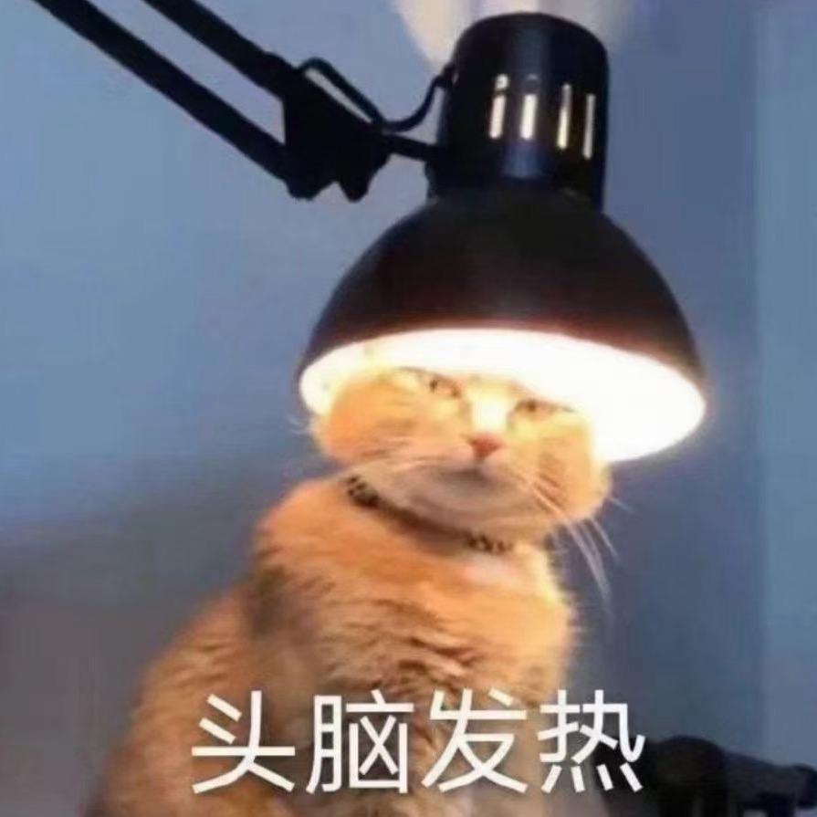 后悔养猫