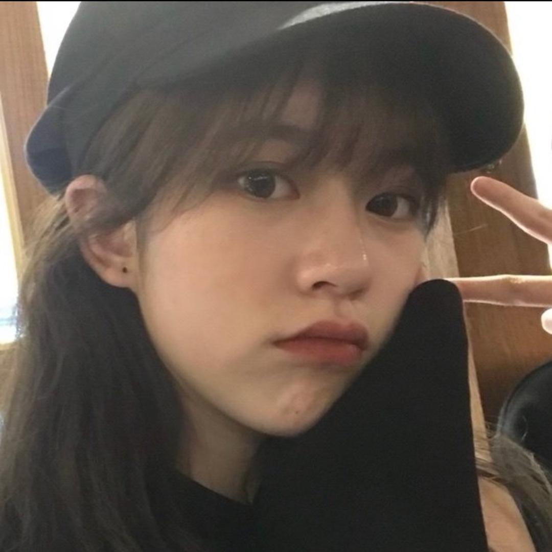 韩国鹅崽崽