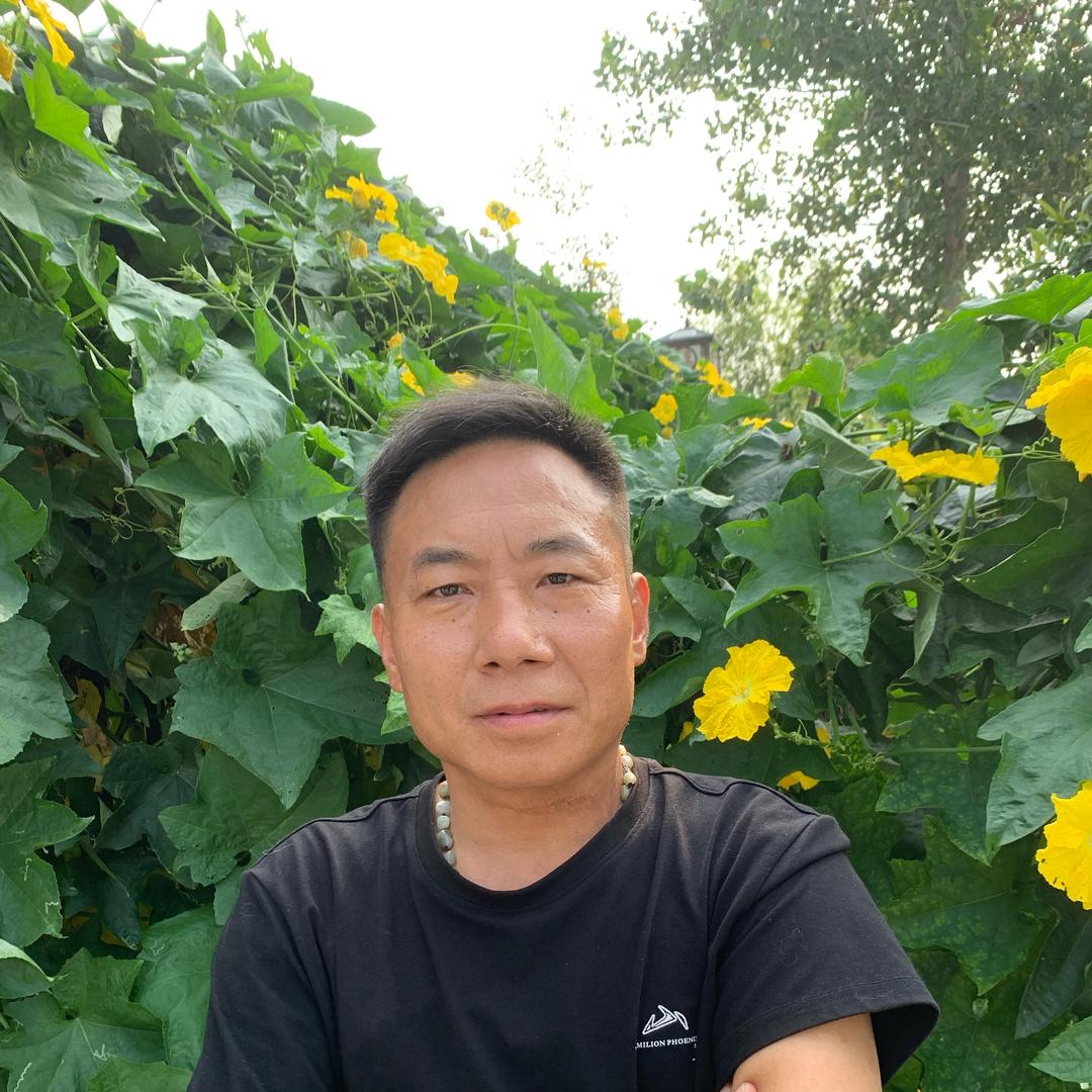 龙三 中午12:30（首播）